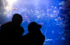 水族館でパートナーが異性の友達とデートは浮気？