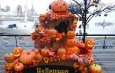 ハロウィンの夜に仮装パーティー？飛行に走る前兆？