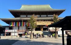 婚約者が初詣を一緒に行かない！結婚して大丈夫？